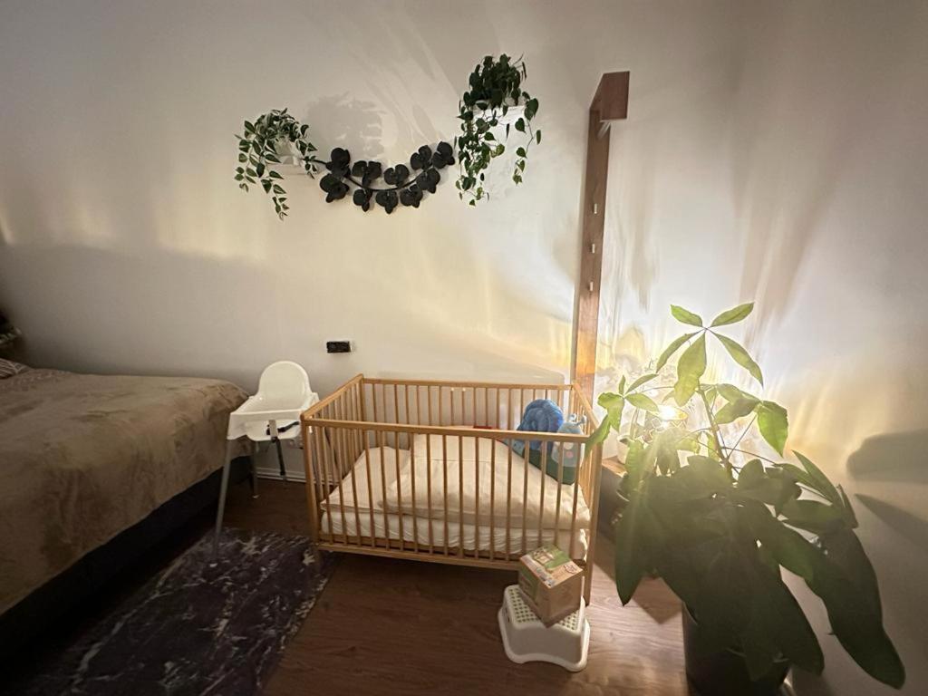 Ferienwohnung Marion Klagenfurt Zentrumsnaehe Klagenfurt am Wörthersee Exterior foto